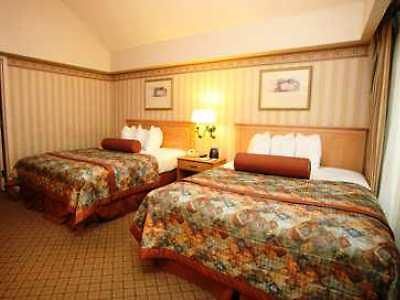 Embassy By Hilton Convention Center 3* New Orleans