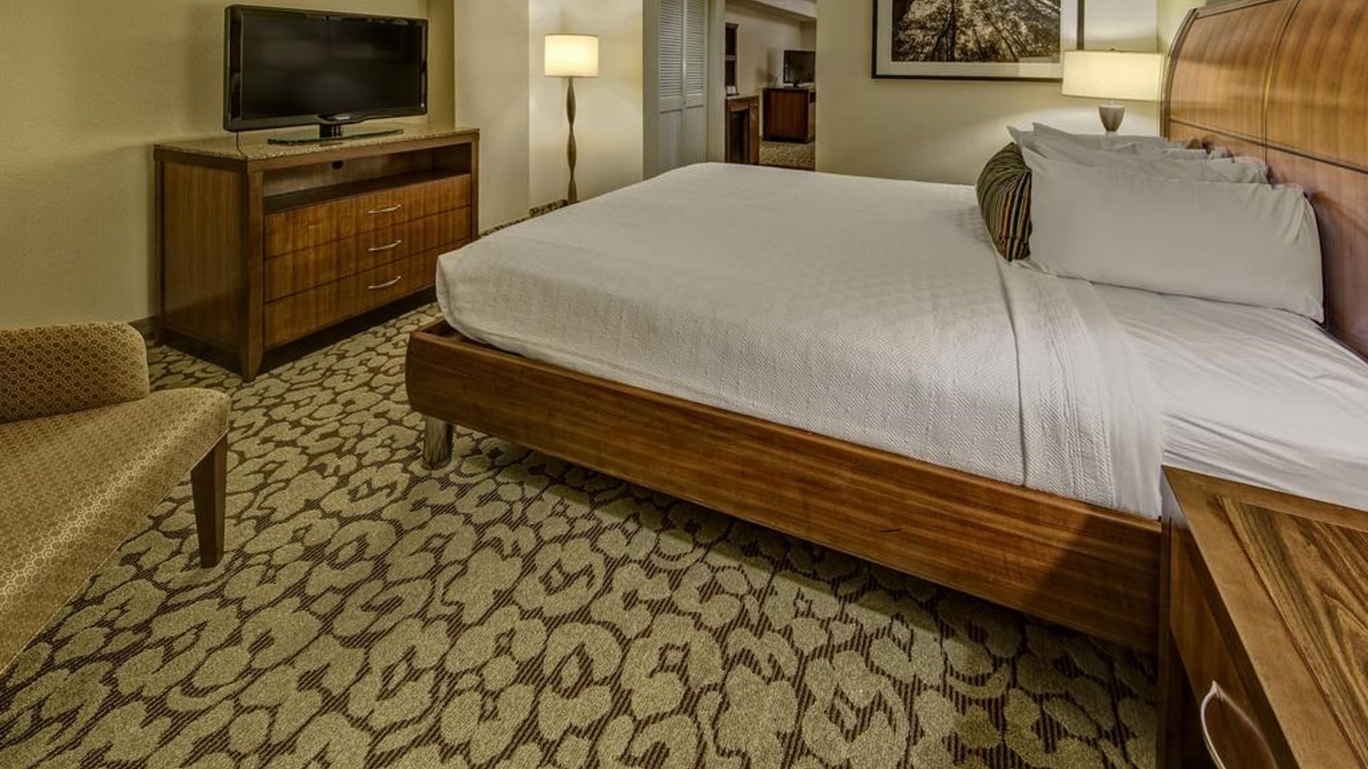 Hotel Hilton Garden Convention Center New Orleans