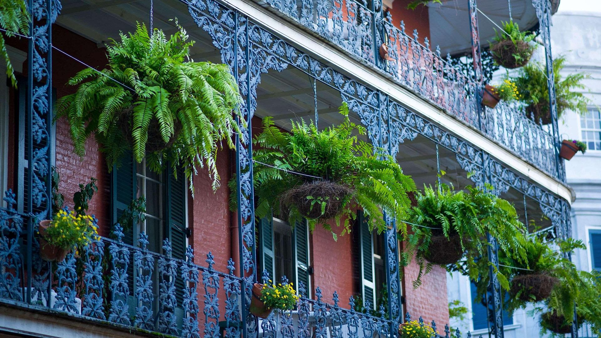 Hotel Frenchmen Orleans At 519, Ascend Collection New Orleans