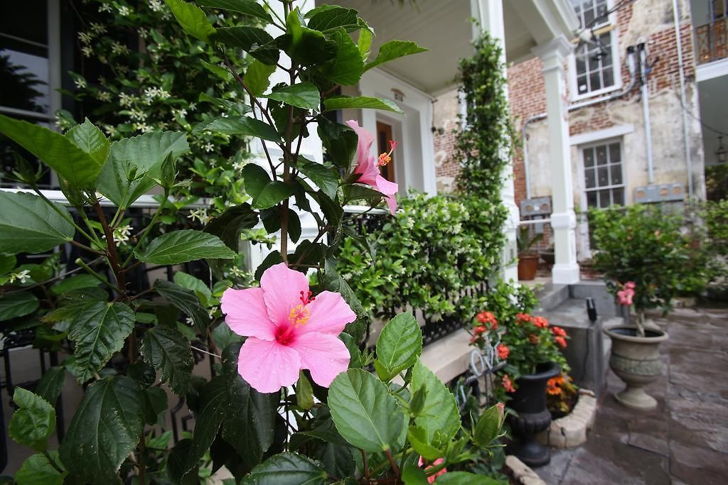 Bed & Breakfast Fleur De Lis Mansion New Orleans