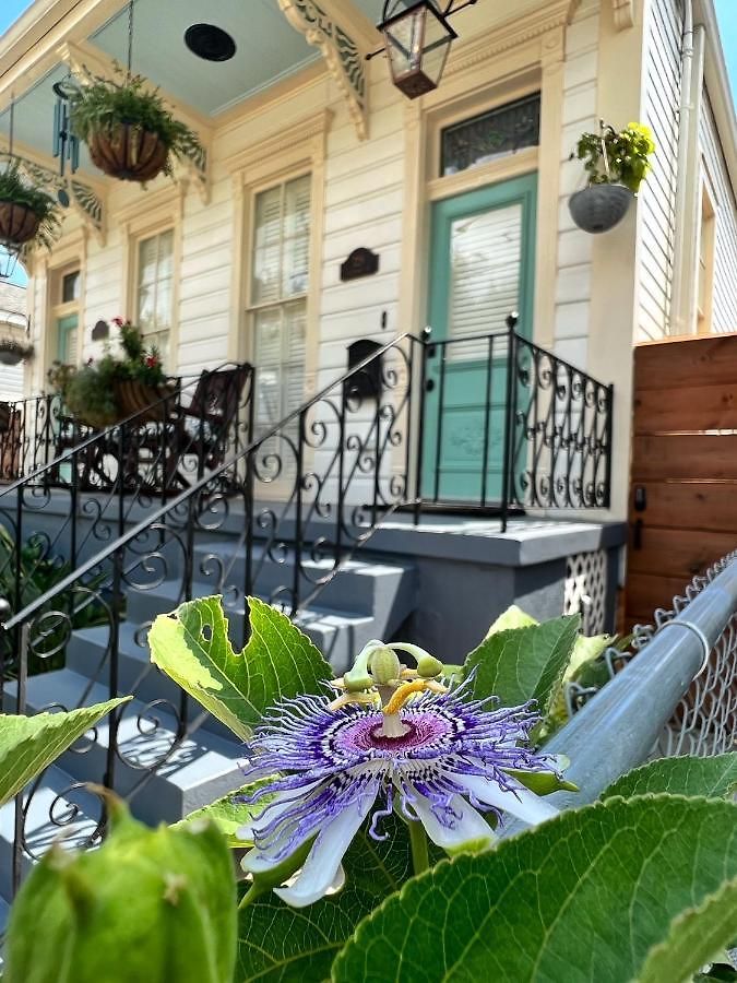 Luxury Historic Shotgun In Lower Garden District * New Orleans