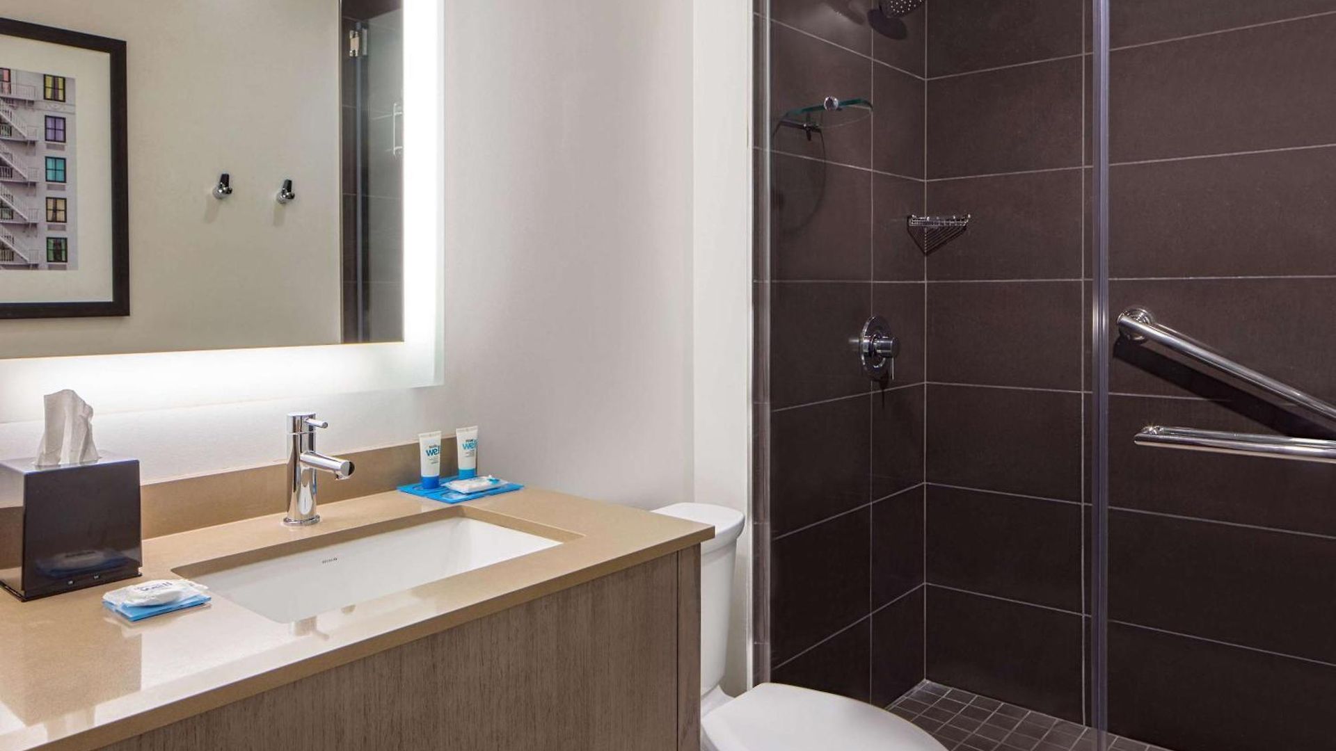 Hyatt House Downtown Hotel 3*
