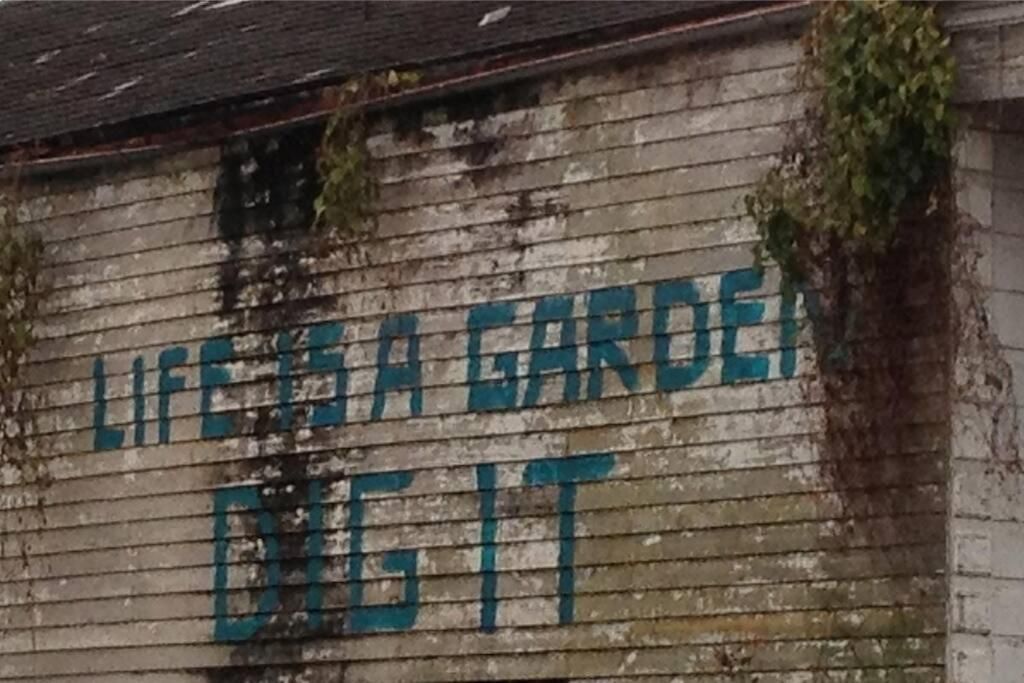 The Dragonfly Treme-close To French Quarter-heated Salt Pool *