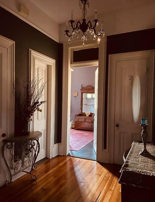 The Dragonfly Treme-close To French Quarter-heated Salt Pool *