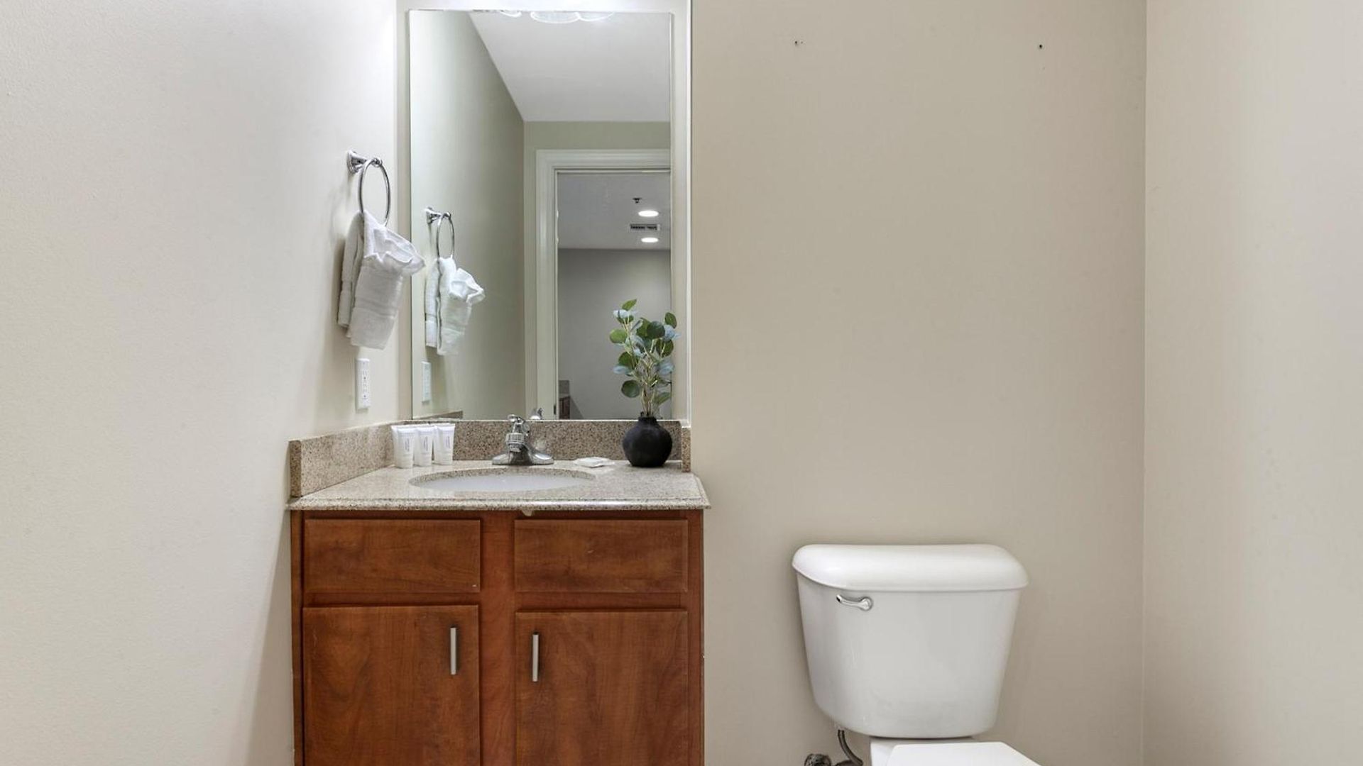 Spacious Modern Near French Quarter Apartment New Orleans