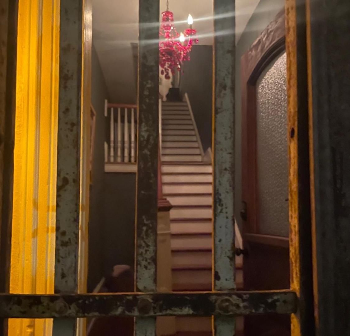 The Dragonfly Treme-close To French Quarter-heated Salt Pool * New Orleans