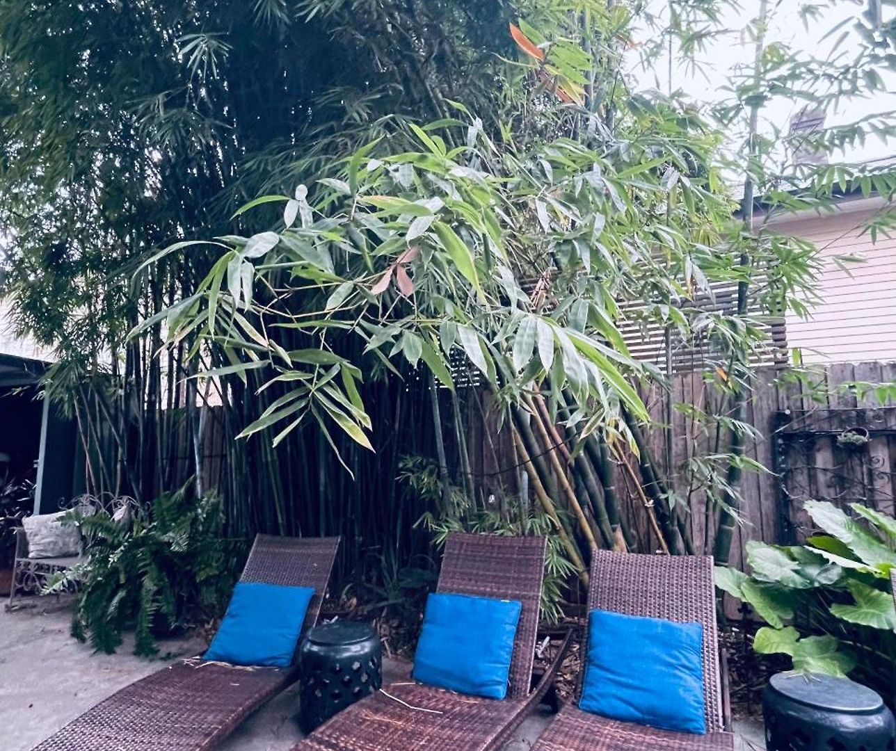 The Dragonfly Treme-close To French Quarter-heated Salt Pool Holiday home