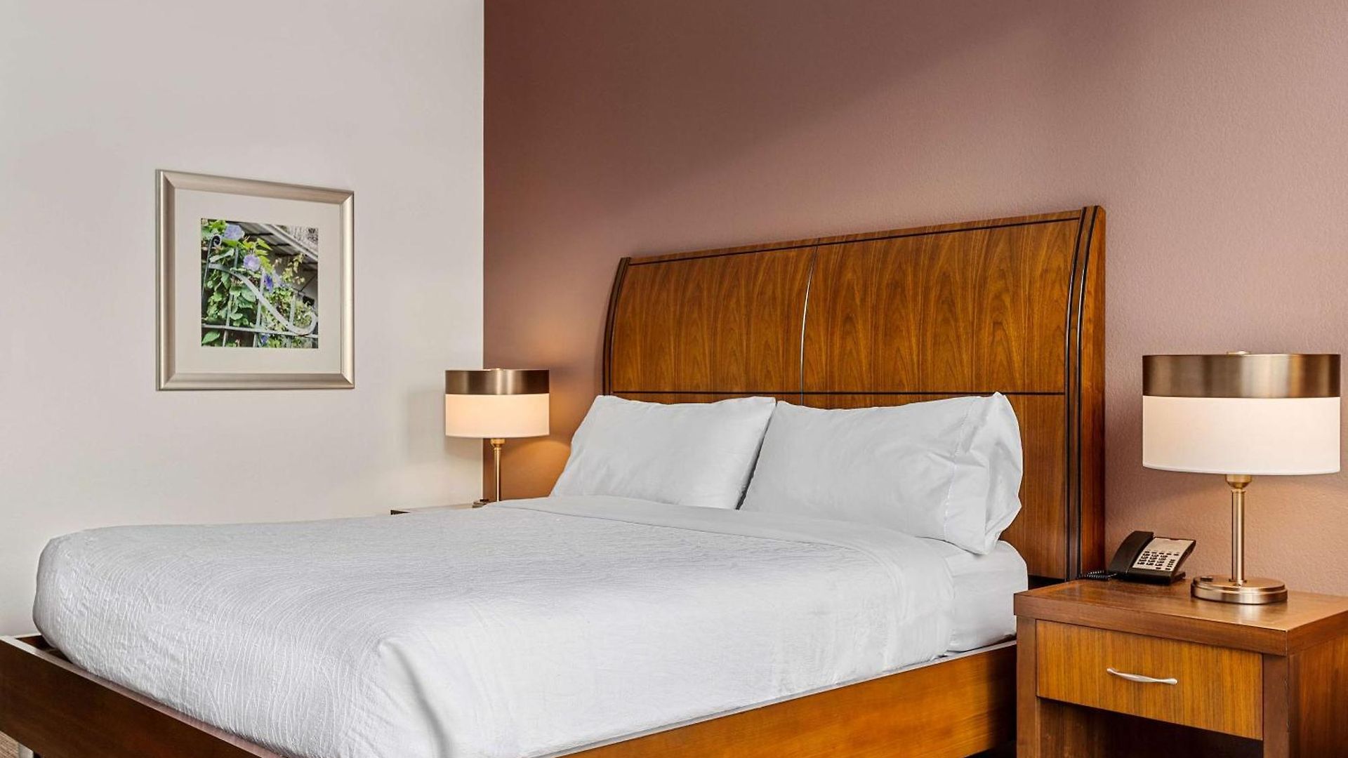 Hilton Garden French Quarter/cbd Hotel