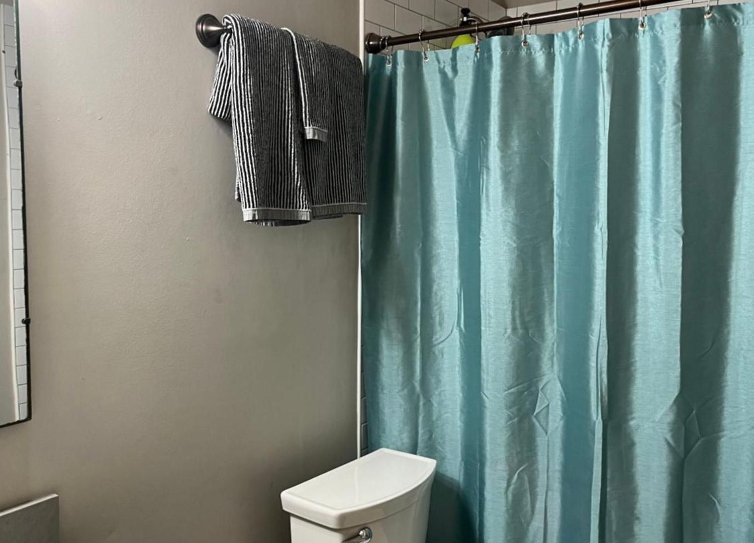 Premier Apartment New Orleans