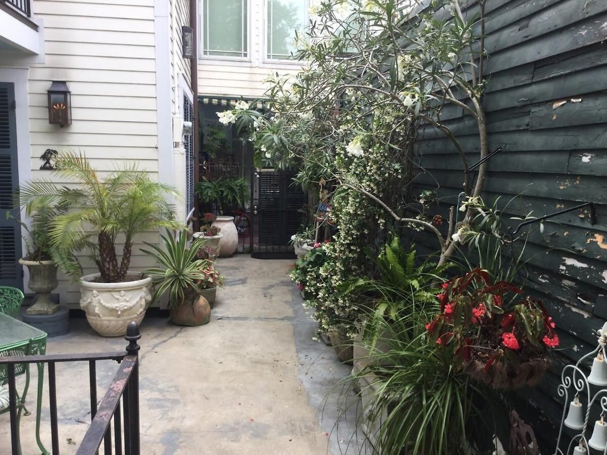 Cozy In The Marigny