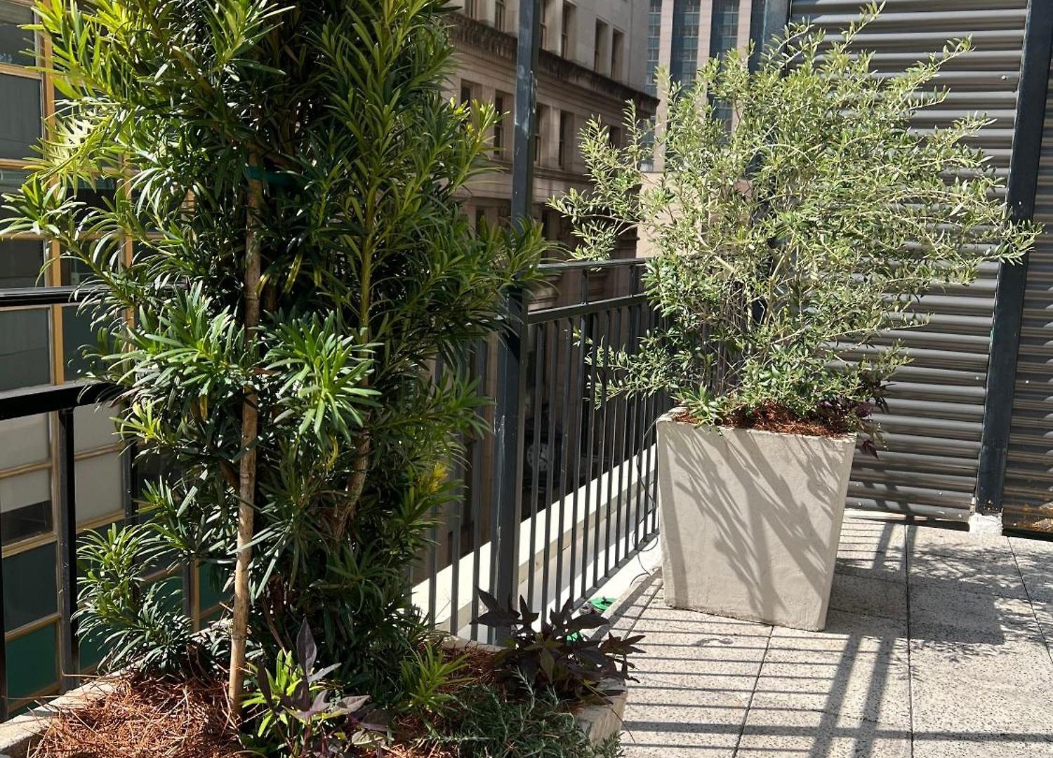 Apartment Entire W/ Party Rooftop - A Block Away From Parades *