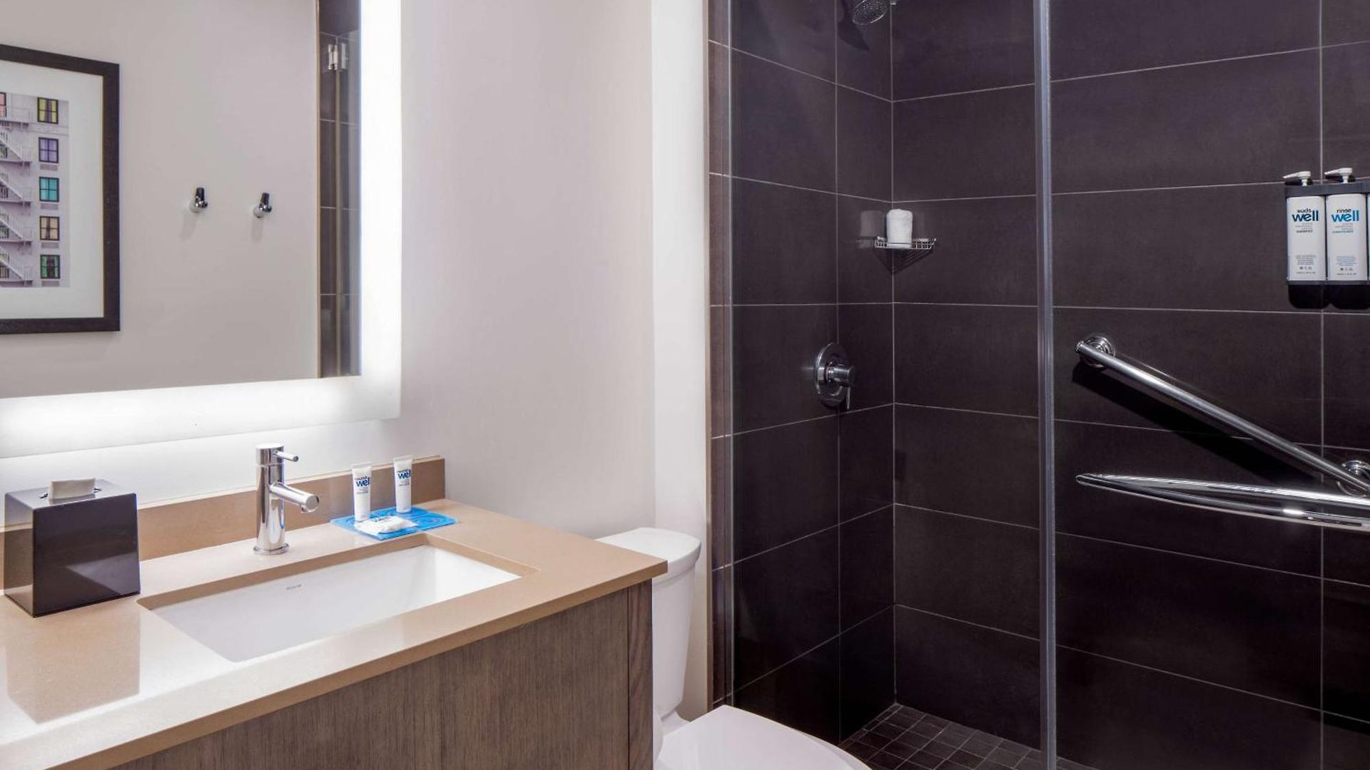 Hyatt House Downtown 3*