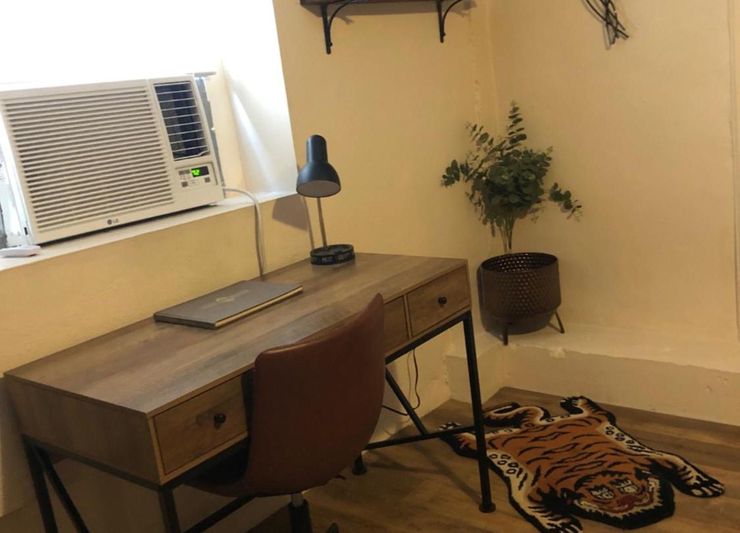 Jungle Theme Apartment New Orleans