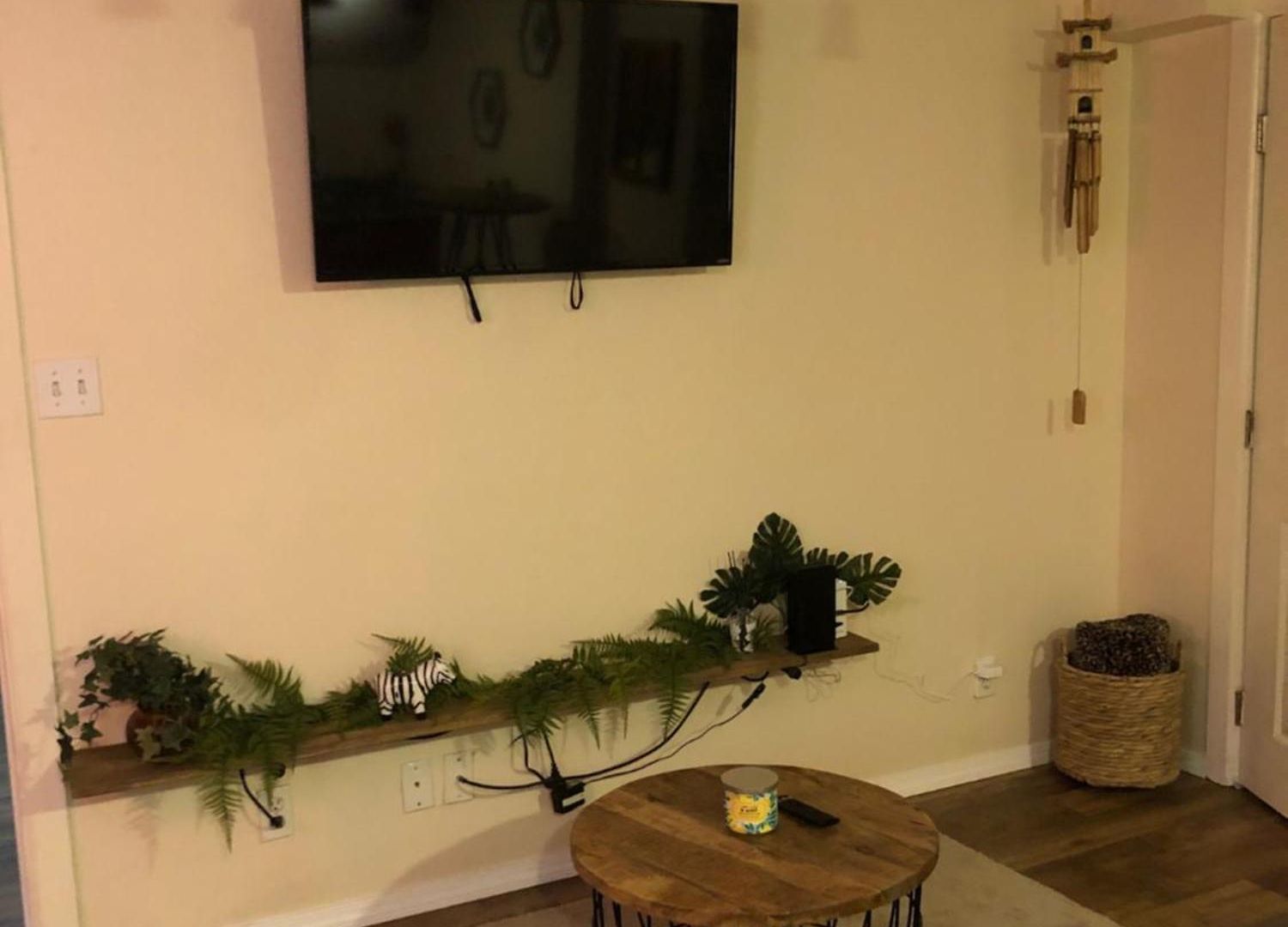 Apartment Jungle Theme