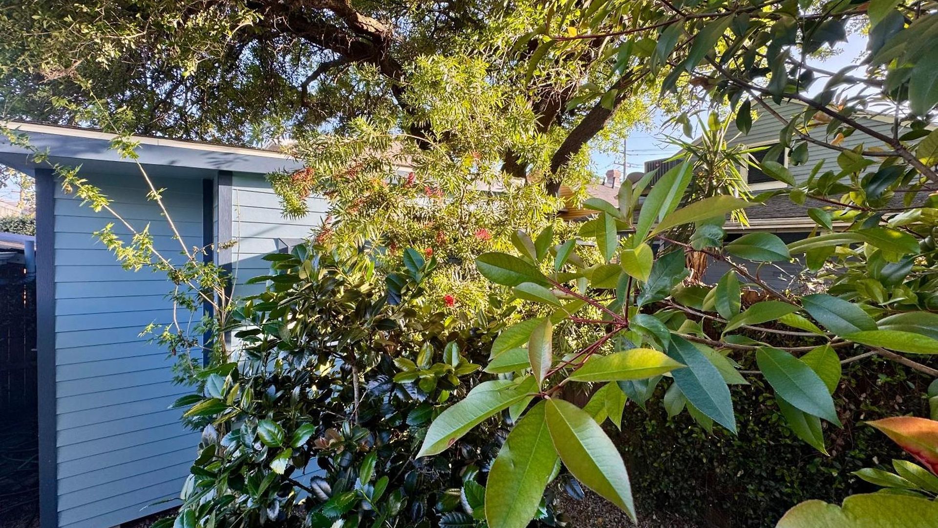 Charming Under Oak Tree 2 Mins Walk To Magazine Quiet Neighborhood Apartment New Orleans