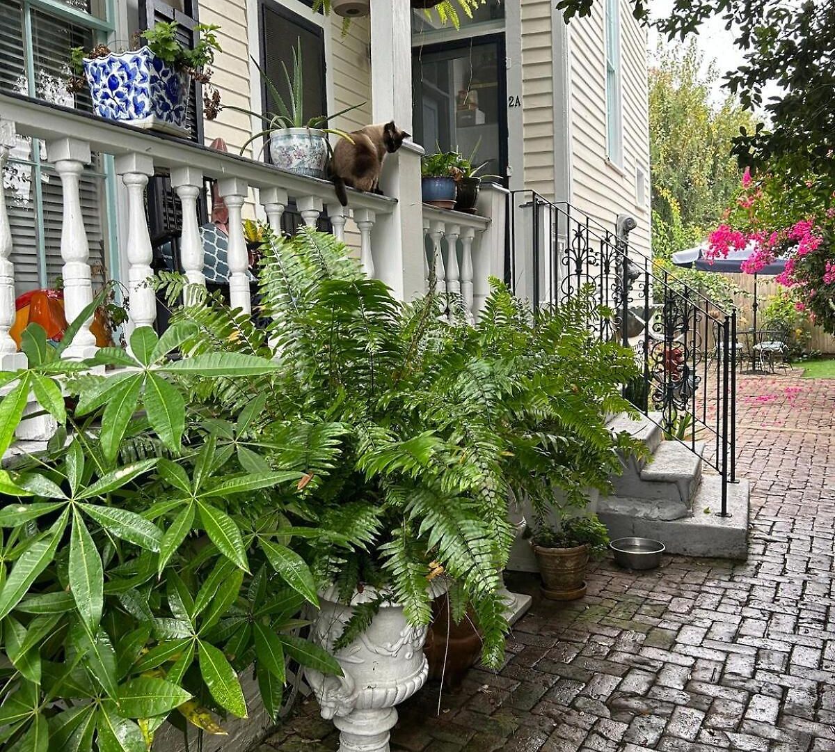 Walk To Jazz Fest From Garden * New Orleans