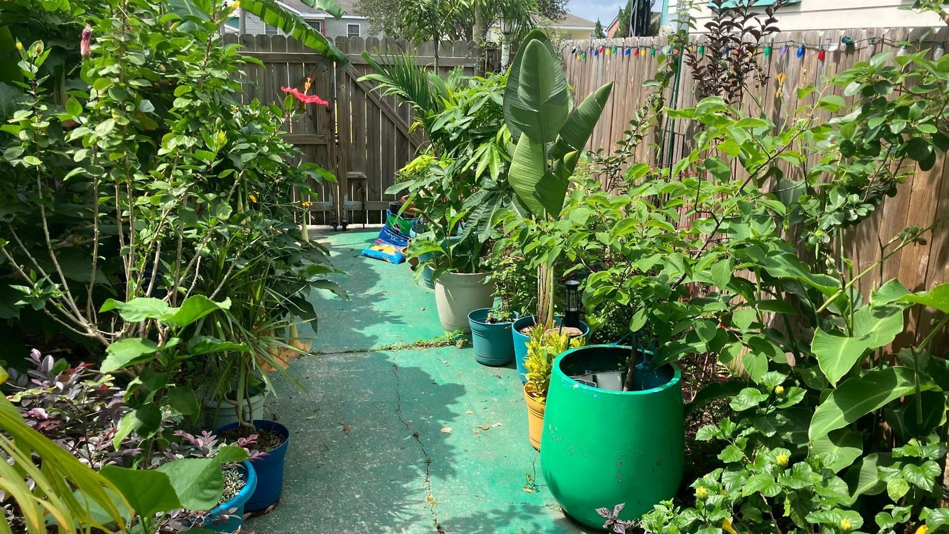 Garden View Apartment