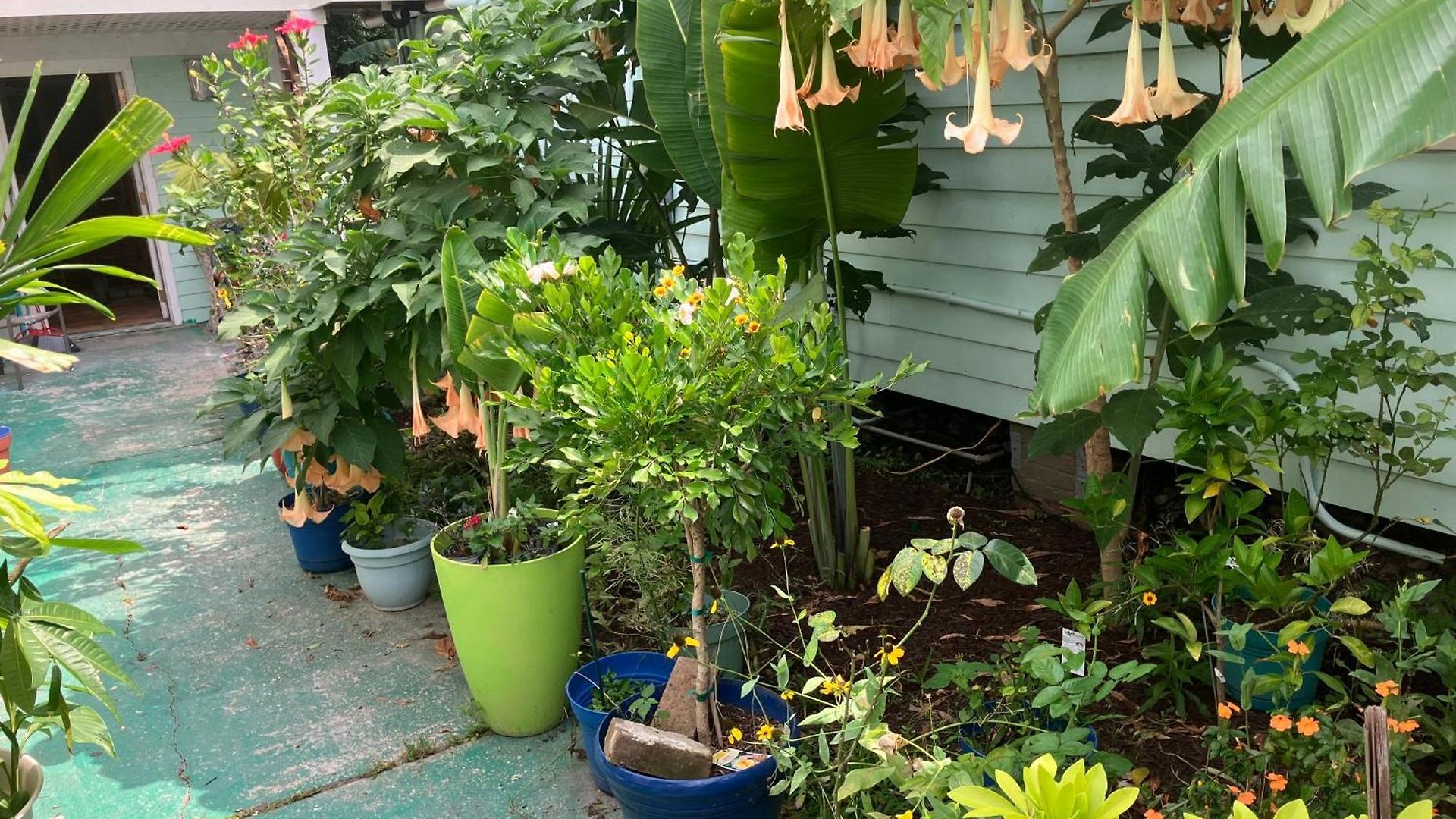 Garden View New Orleans