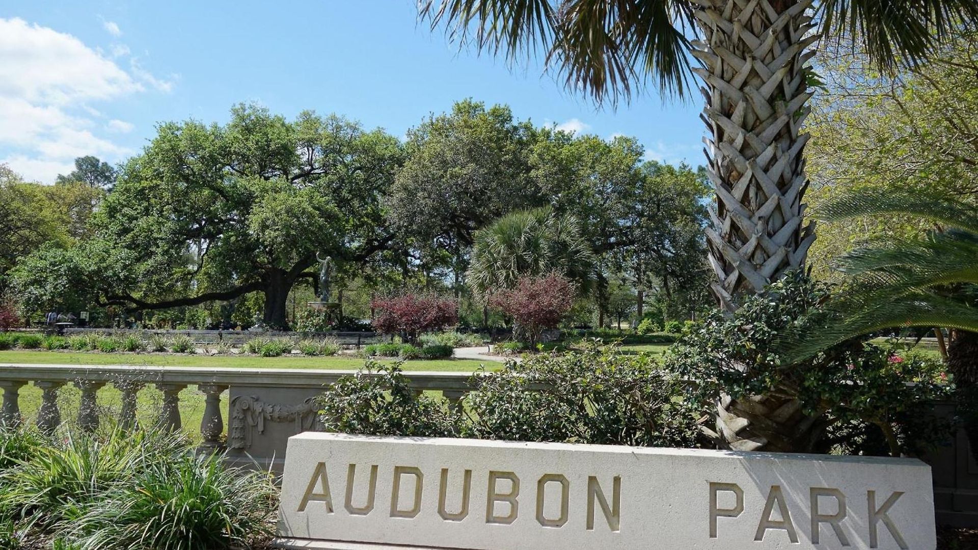 Urban Oasis 4bd House Close To Fq & Hot Spots' Apartment