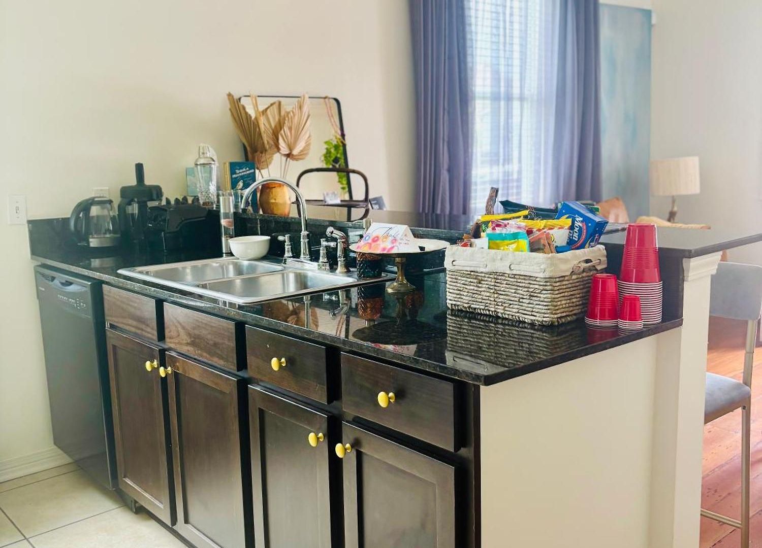 Apartment Charming Creole Near French Quarter New Orleans