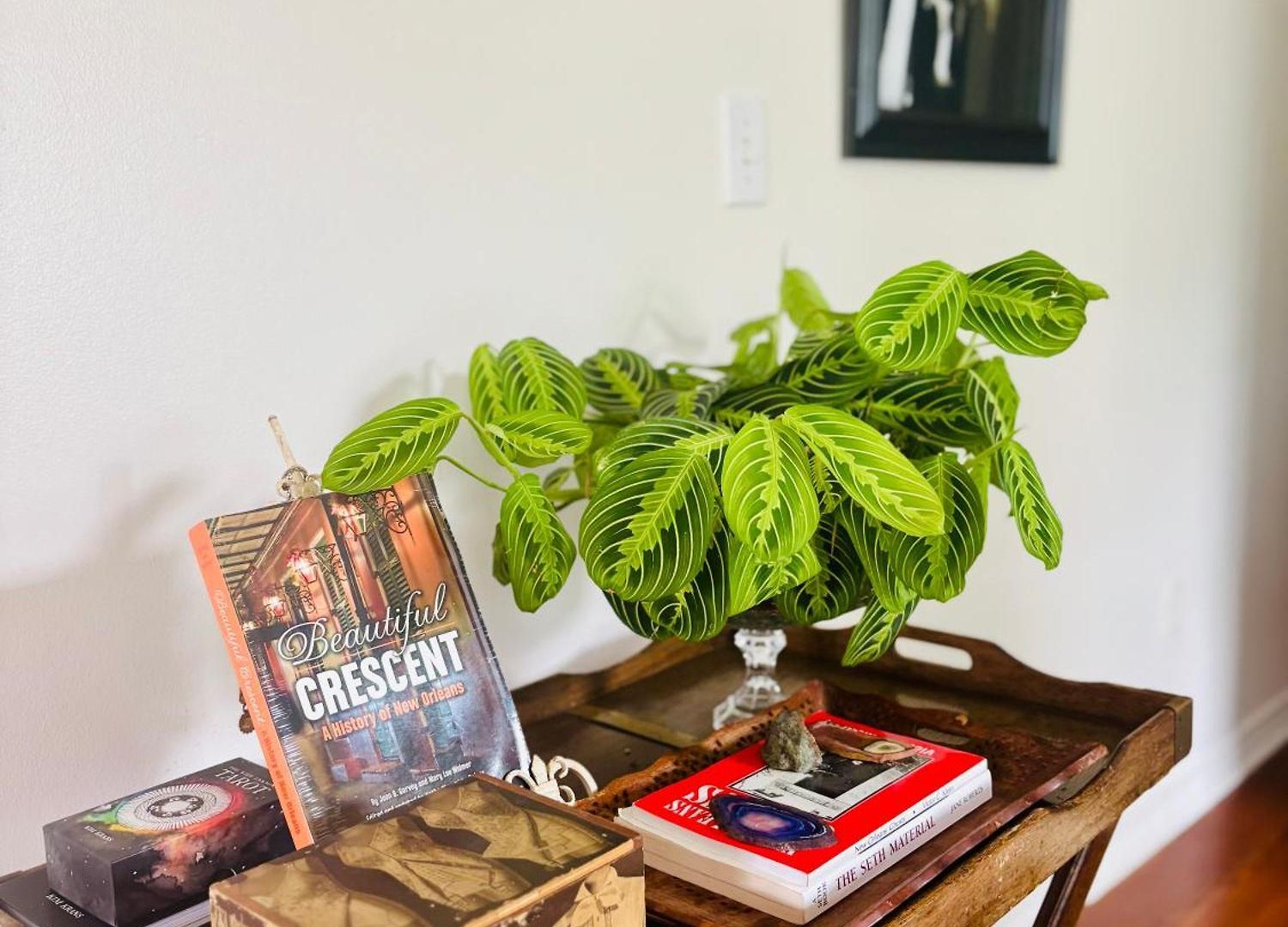 Apartment Charming Creole Near French Quarter