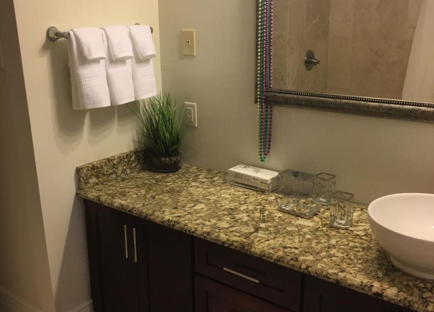 Spacious Napoleon Ave Mardi Gras Apartment *