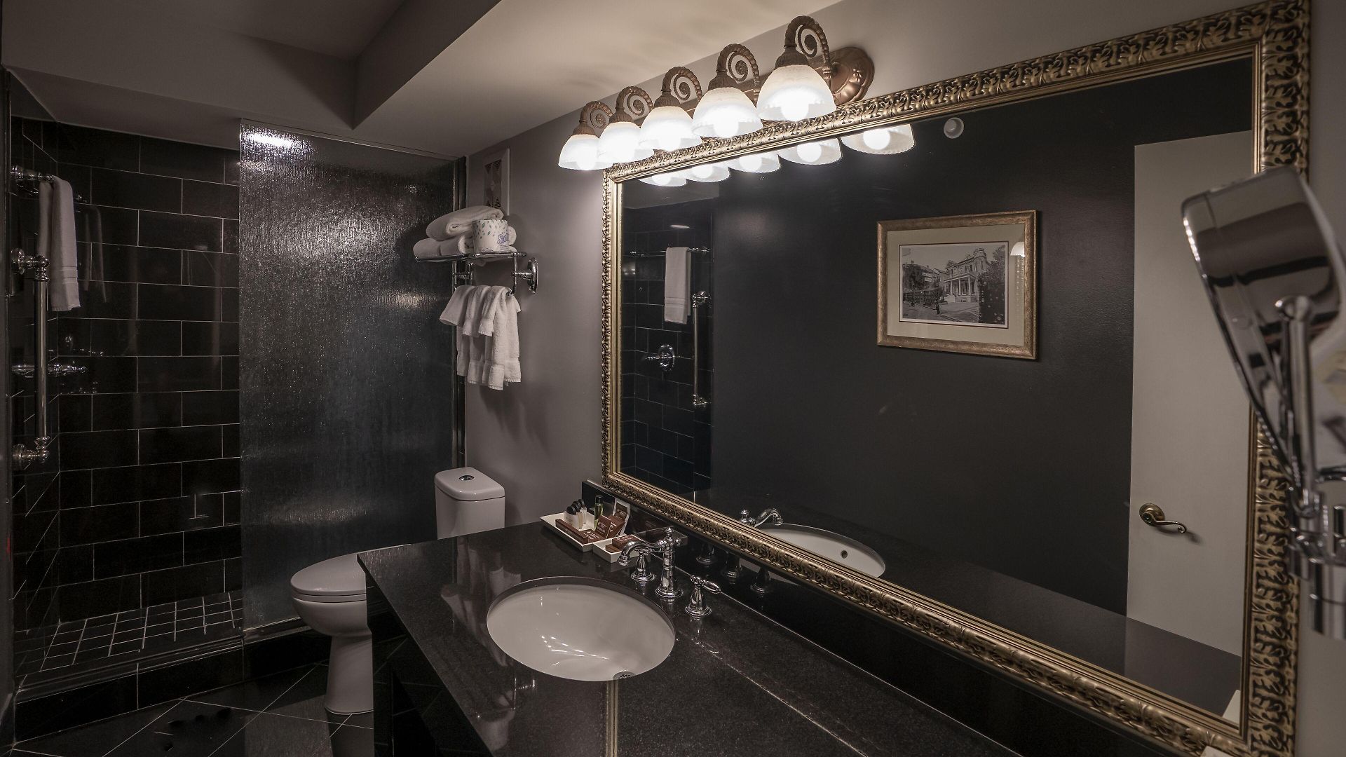 Bourbon Orleans Hotel 4*