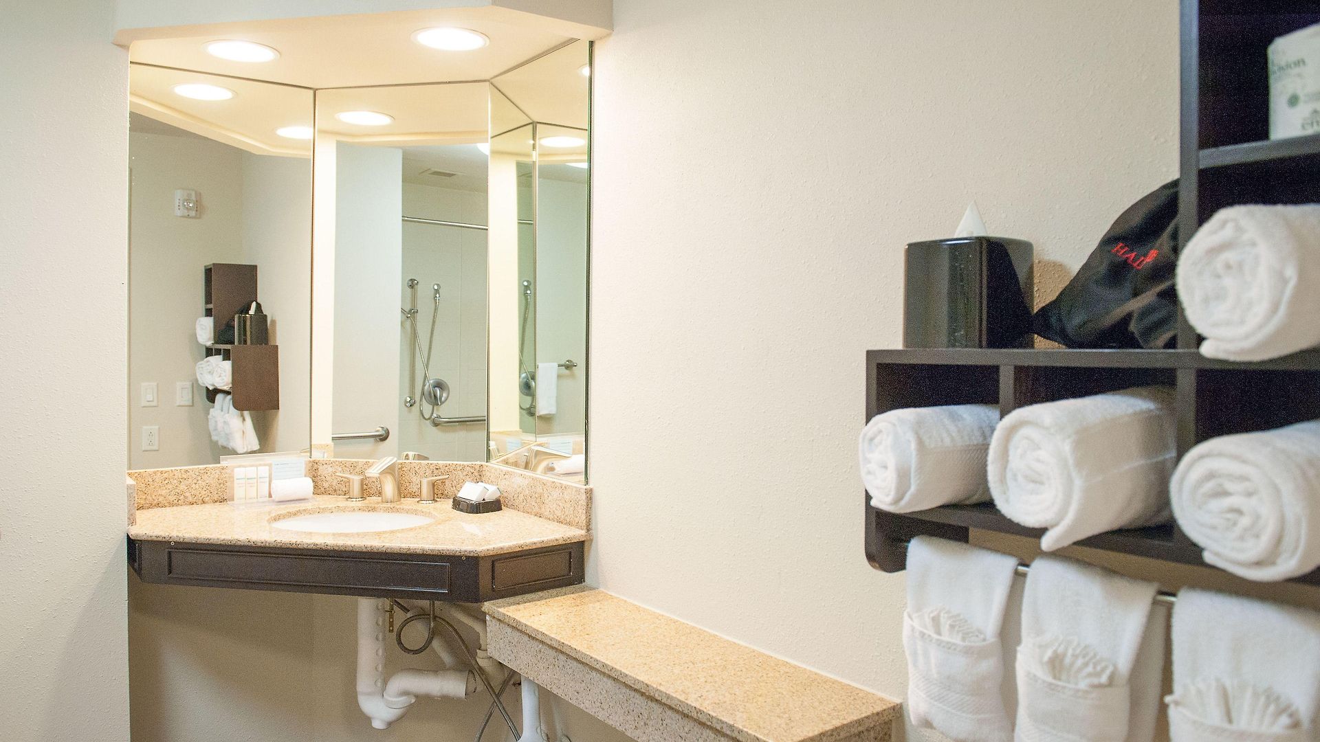 Hotel Hampton & Downtown French Quarter Area New Orleans