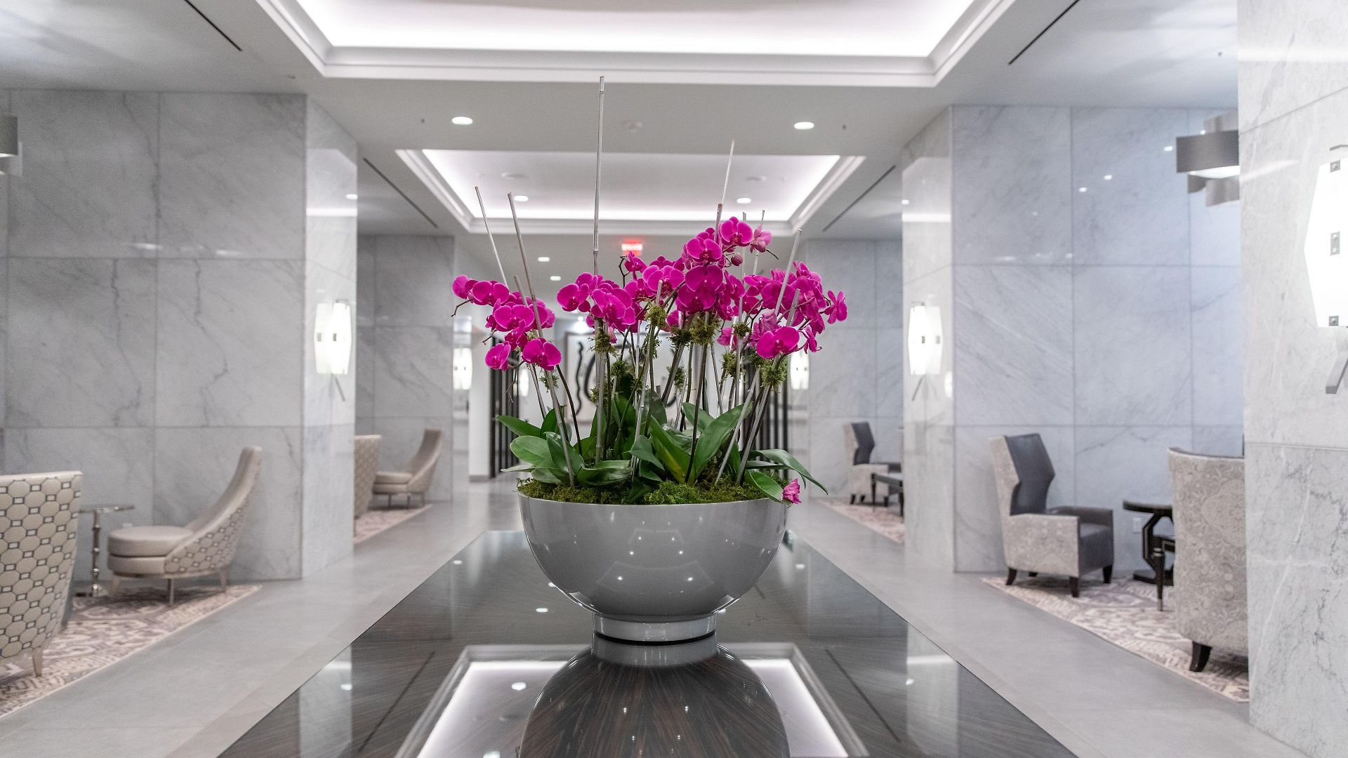 The Jung And Residences Hotel New Orleans