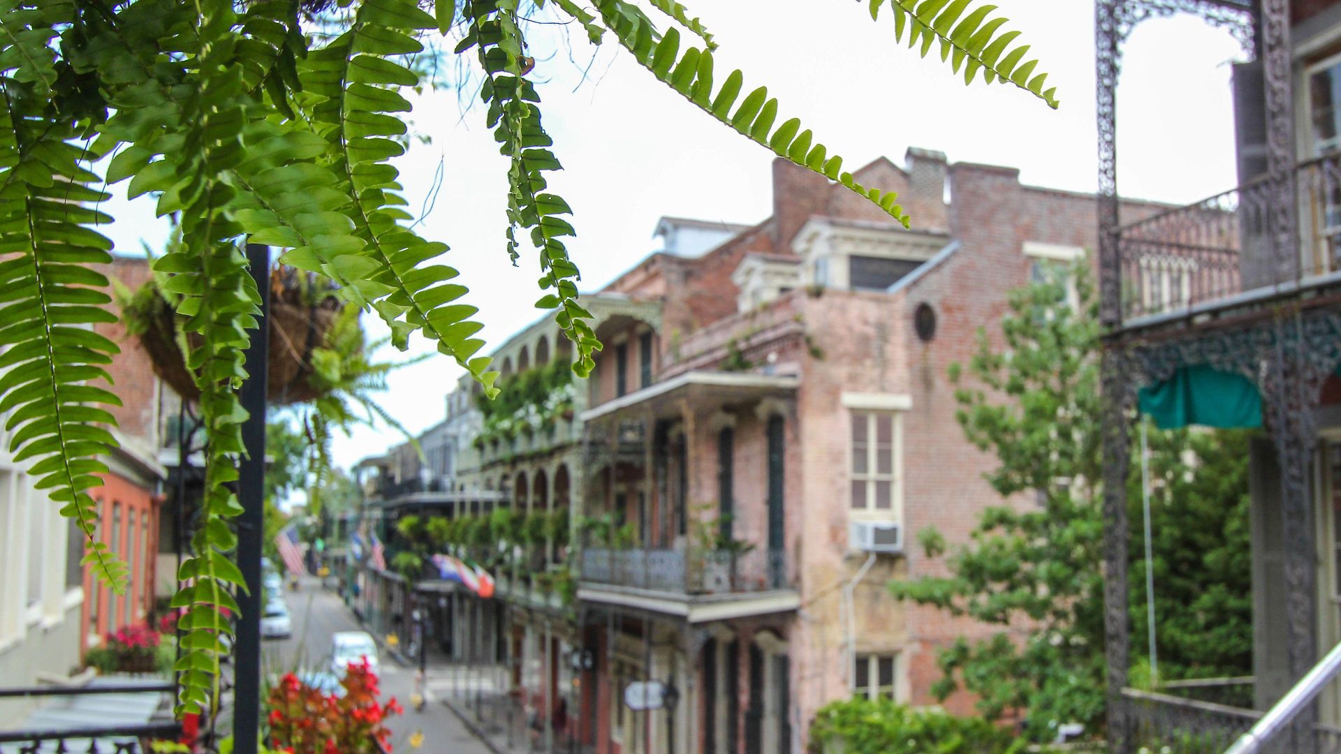 Hotel Andrew Jackson French Quarter 3*