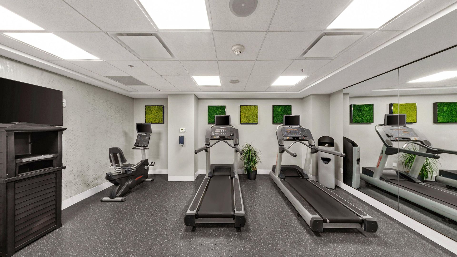 Hotel Indigo - French Quarter By Ihg 3*