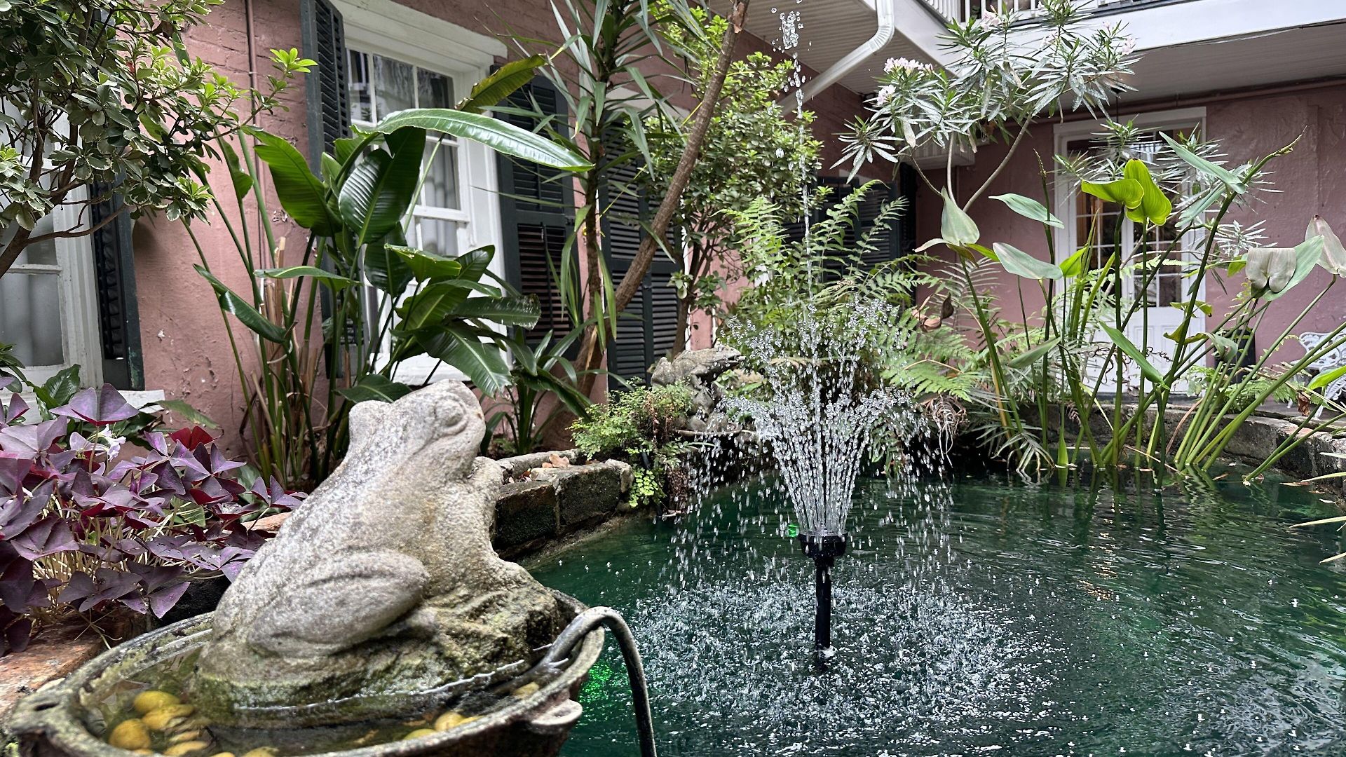 Hotel Lamothe House A French Quarter 4*