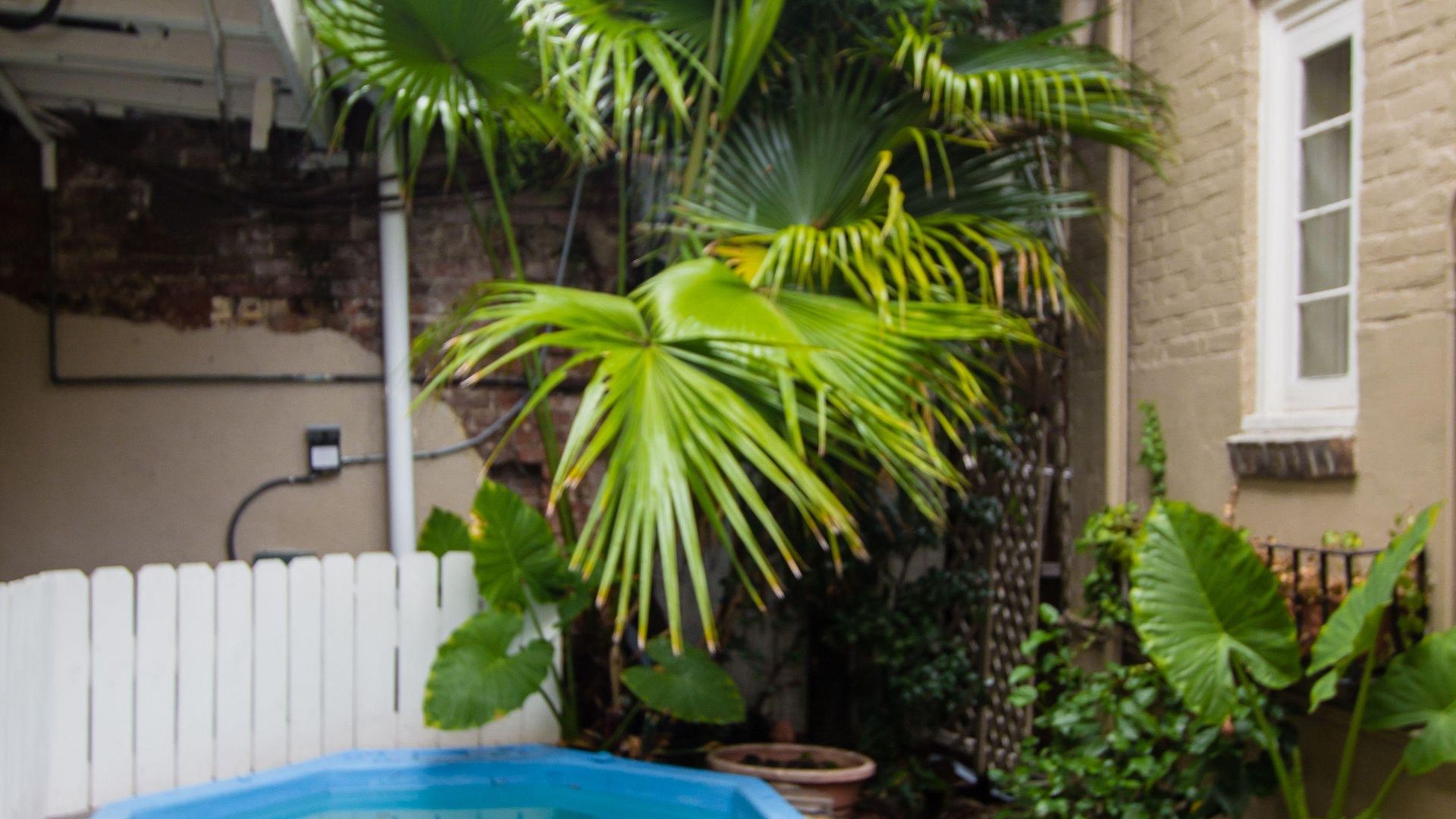 Inn On Ursulines, A French Quarter 3*