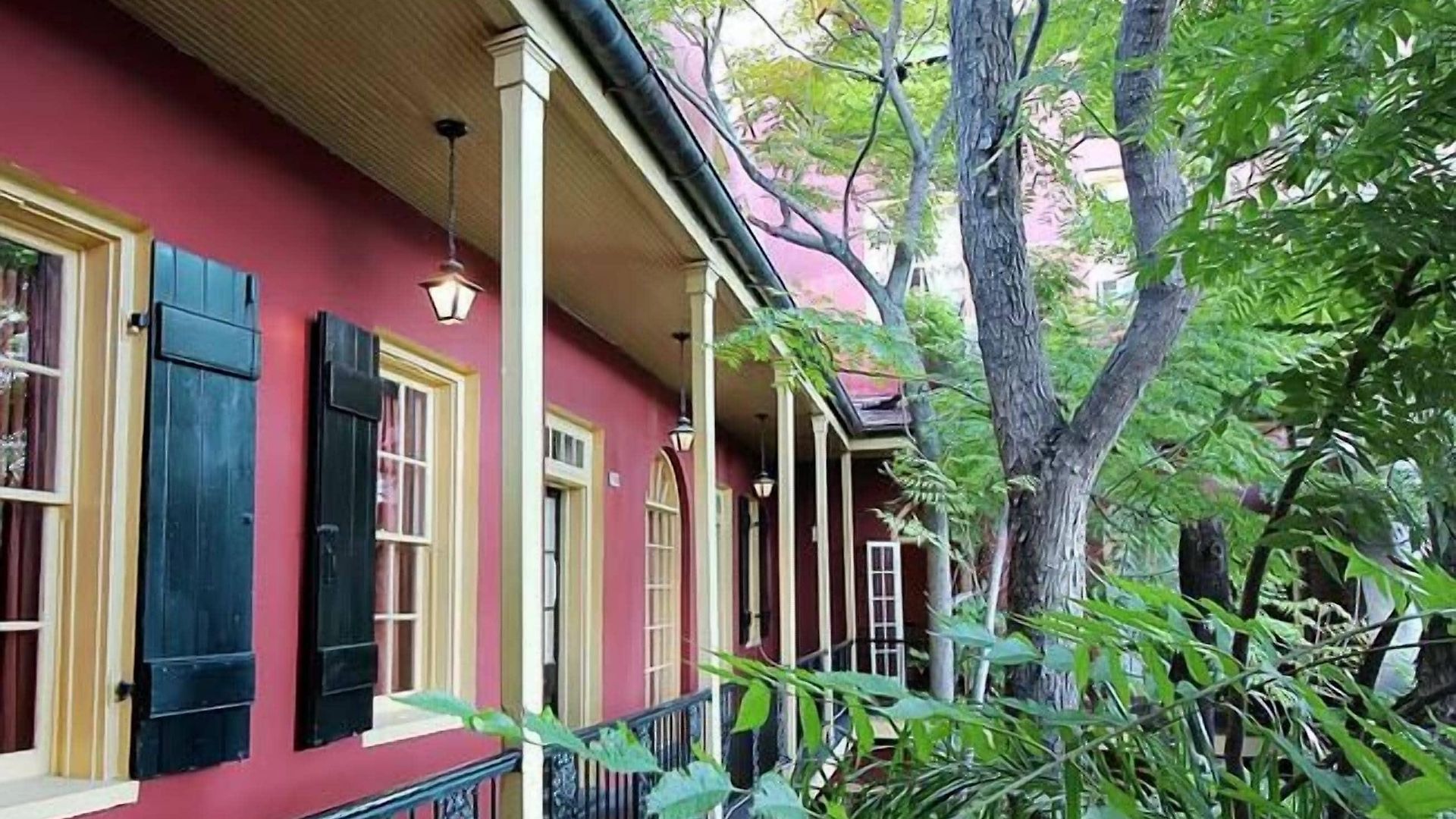 Hotel The Olivier House