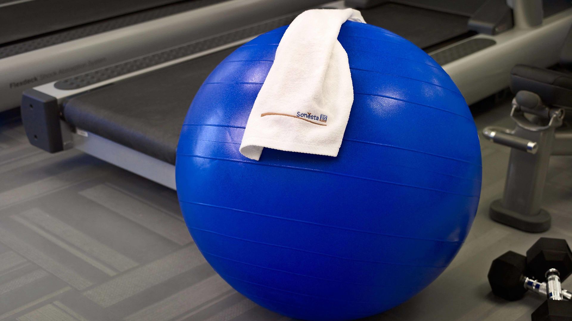 Sonesta Es Downtown Hotel