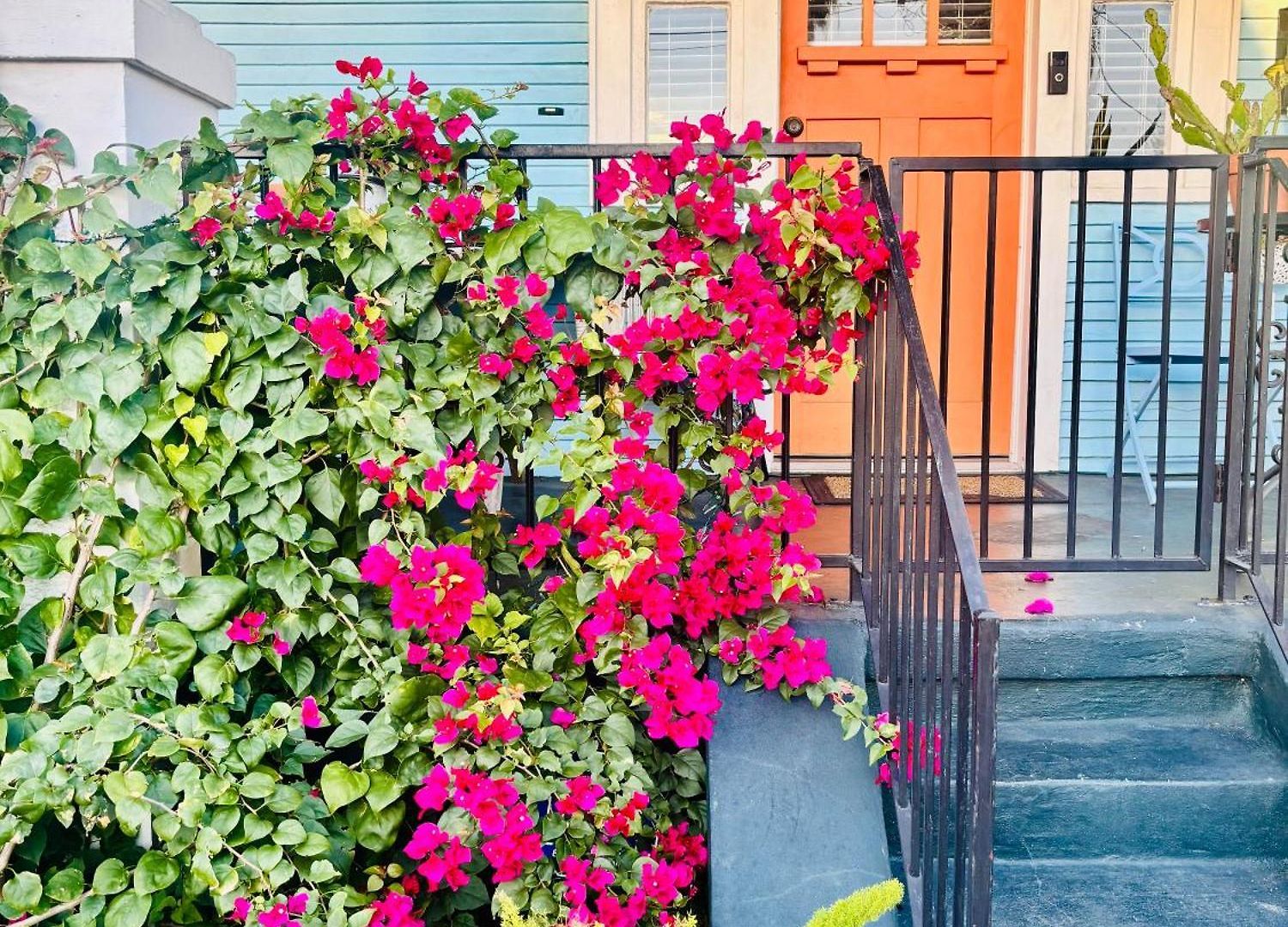 Charming Creole Near French Quarter * New Orleans