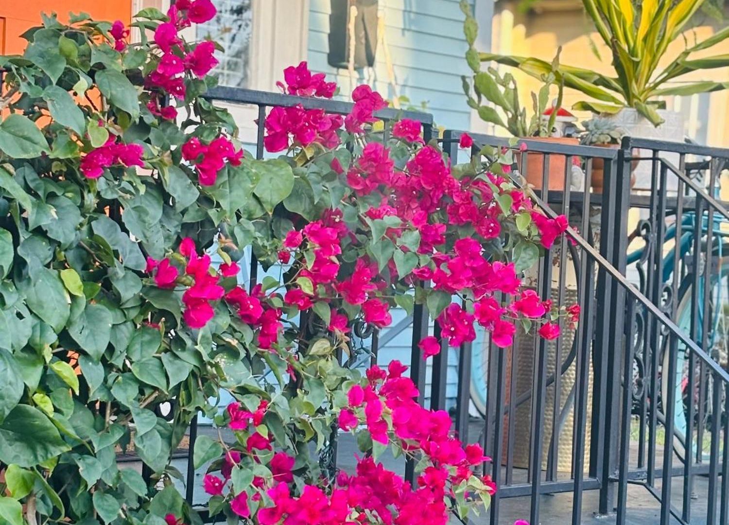 Charming Creole Near French Quarter Apartment New Orleans