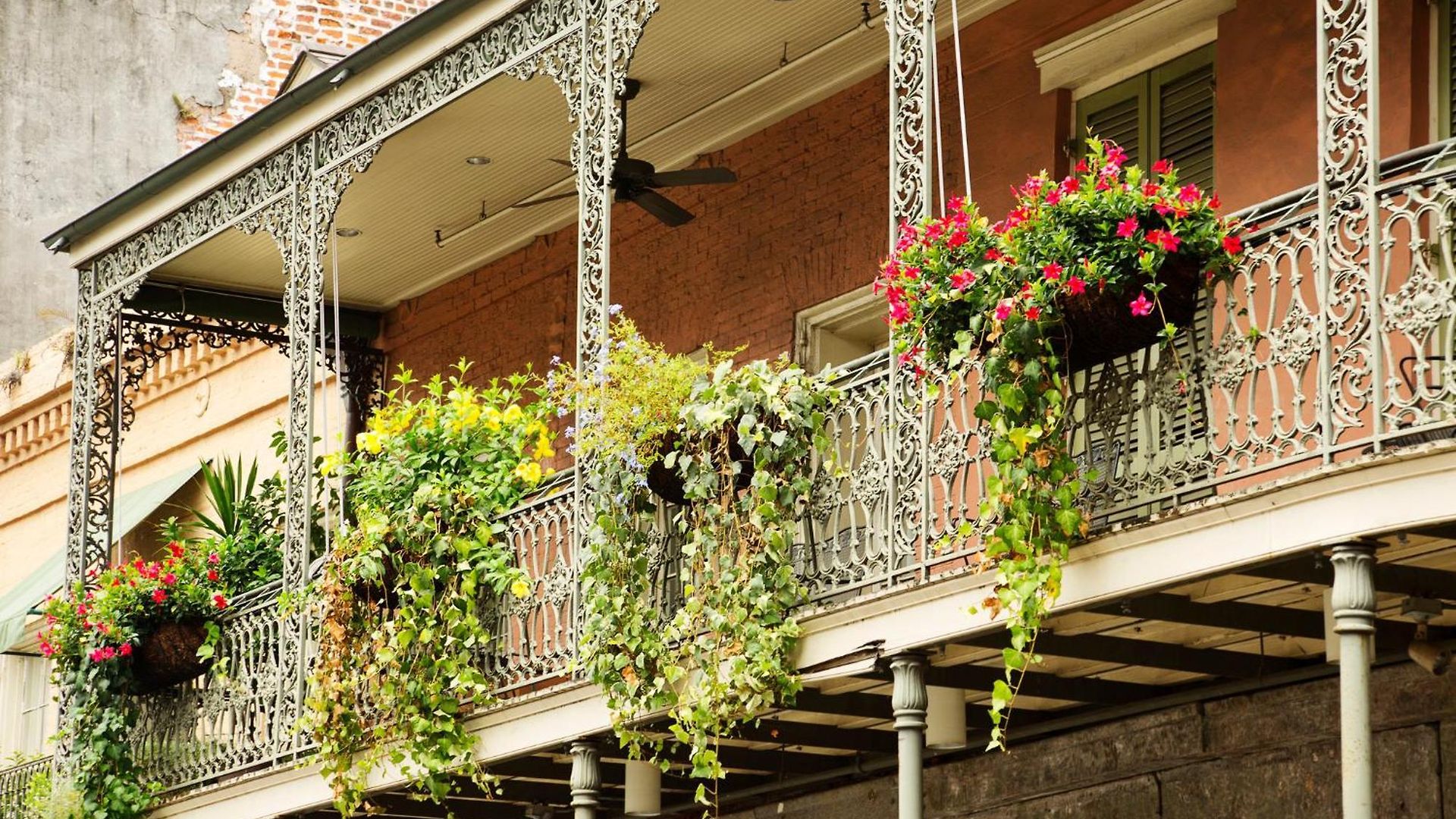 Hotel Indigo - French Quarter By Ihg 3*