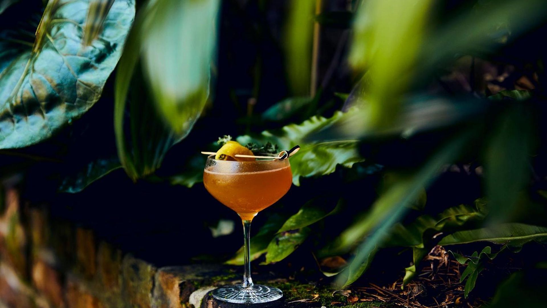Kimpton Fontenot By Ihg Hotel New Orleans