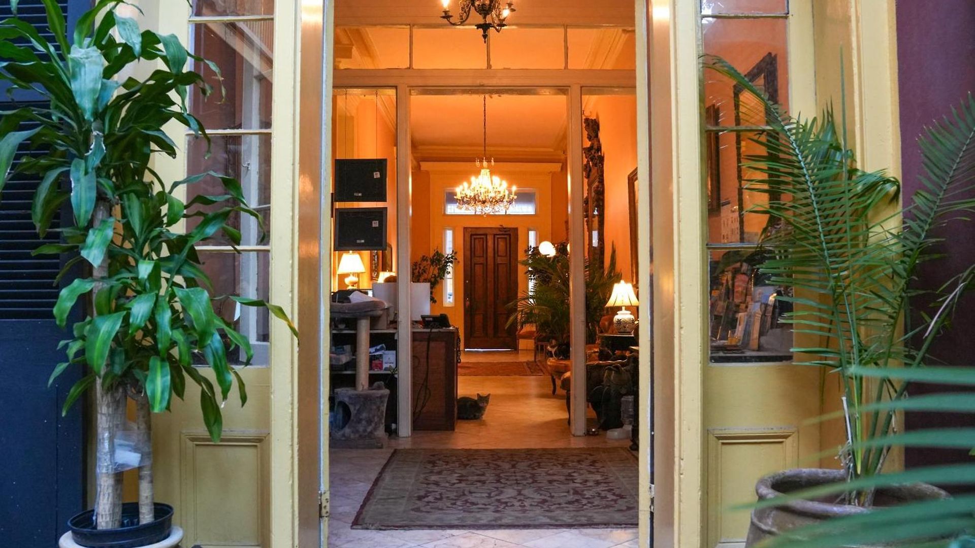 The Olivier House Hotel New Orleans