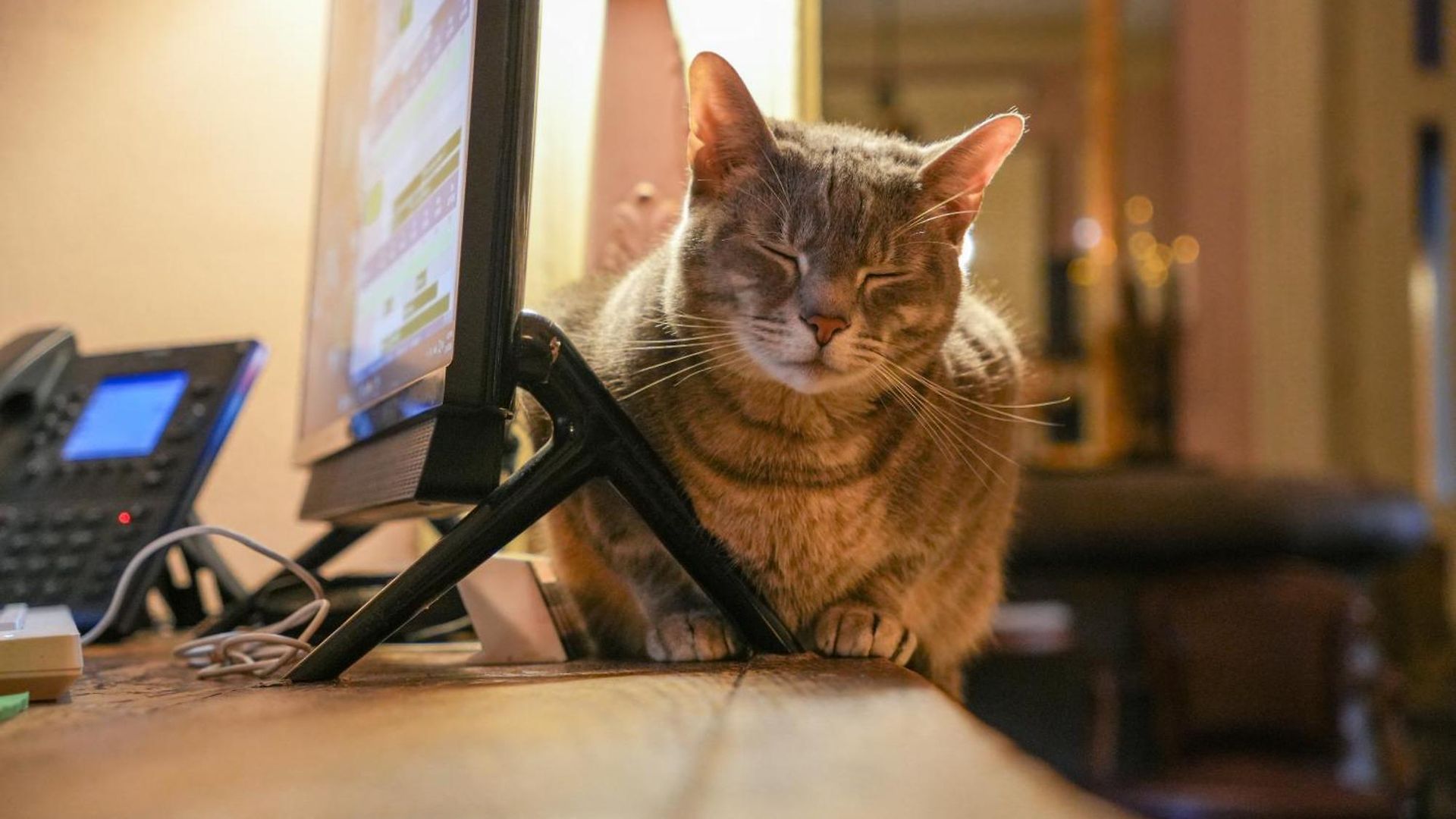 The Olivier House New Orleans