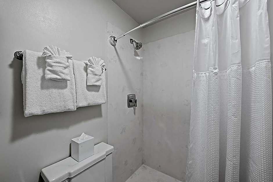 The Carriage House On St Charles Hotel 2*