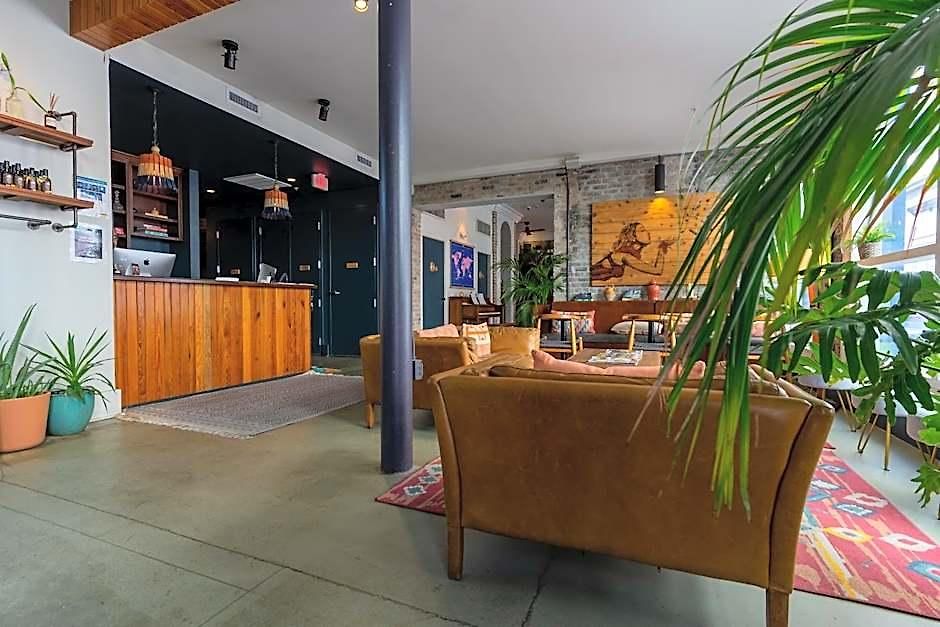 Catahoula 3* New Orleans
