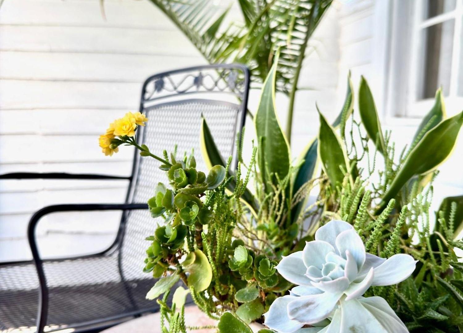 Charming Marigny 1br Near Frenchmen Street *