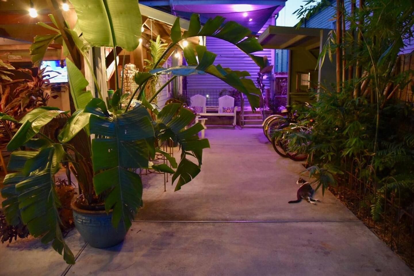 Bed & Breakfast Boutique Double Queen Balcony And Pool 3*
