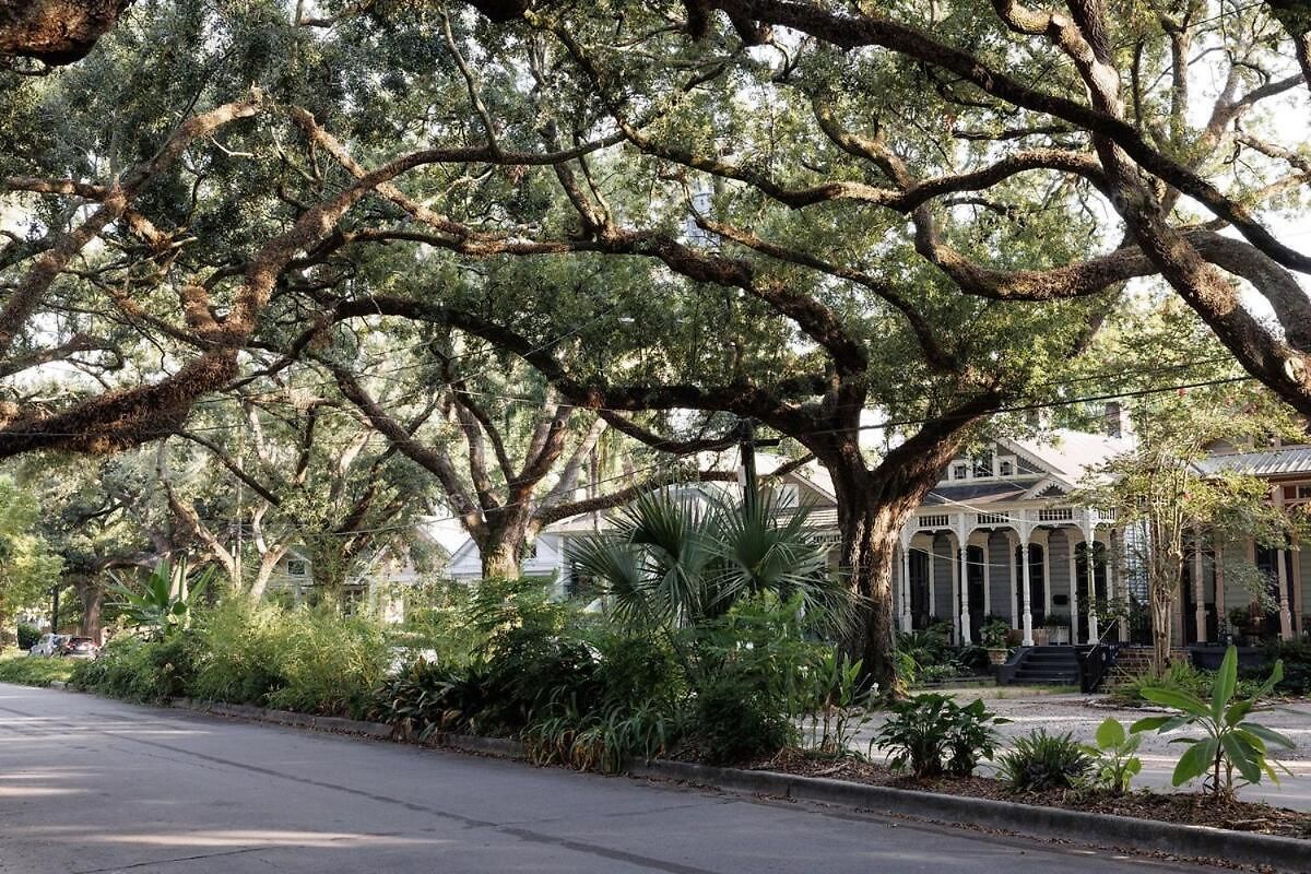 Apartment Cozy In Bayou St John