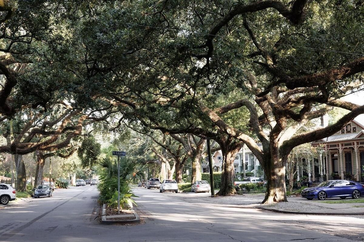 Cozy In Bayou St John * New Orleans