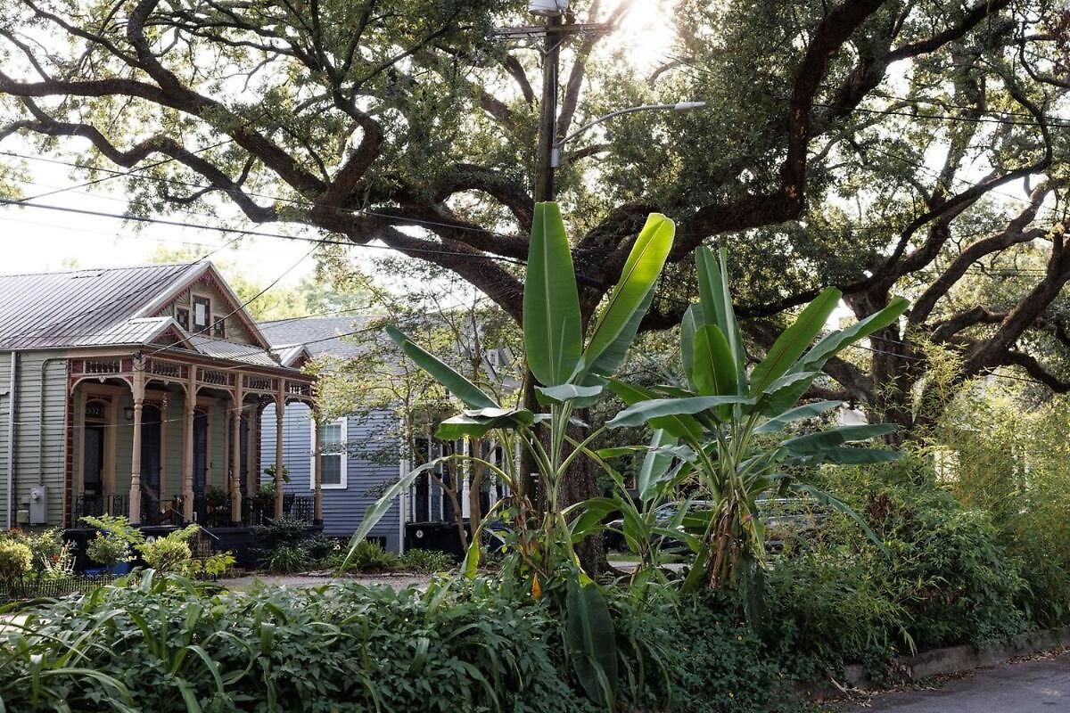 Cozy In Bayou St John * New Orleans