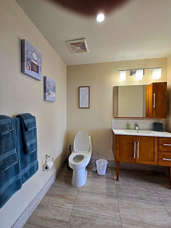 Hotel Beautiful Walk To French Quarter, Pool, Gym, View 3*