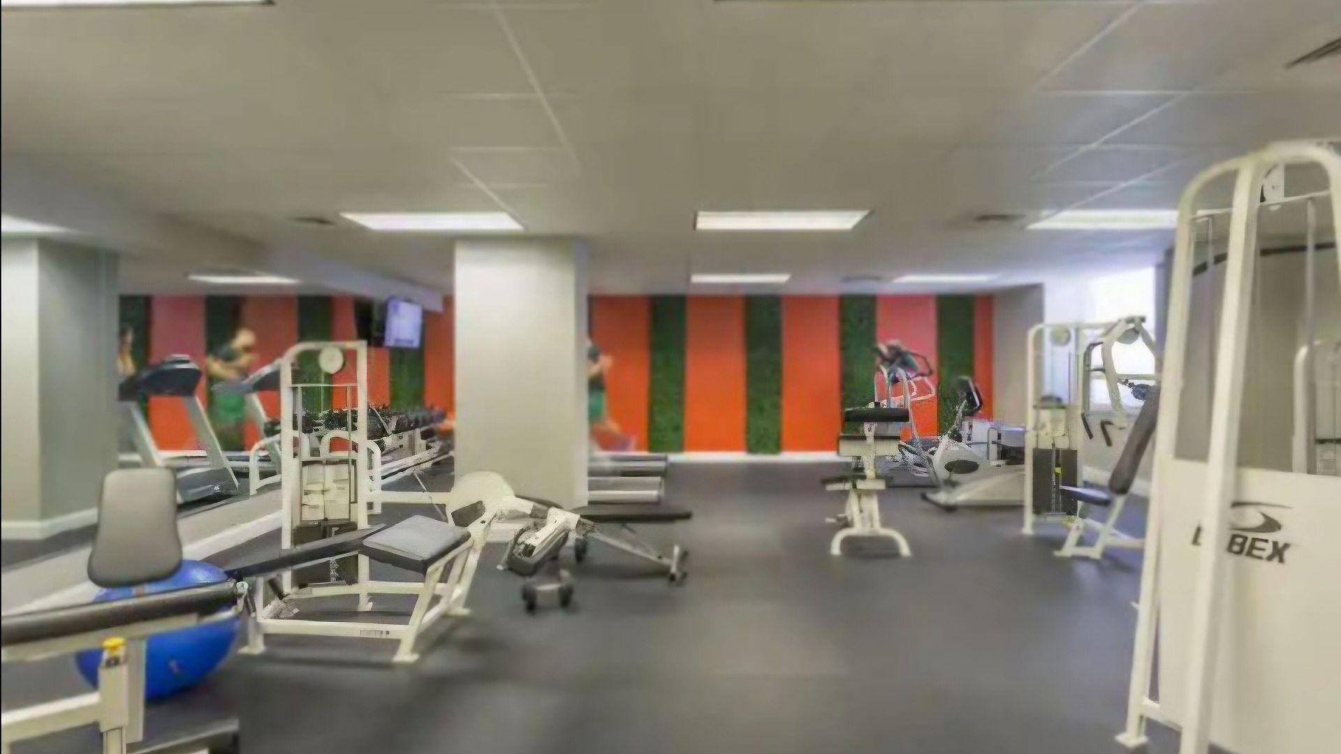 Apartment Beautiful Walk To French Quarter, Pool, Gym, View New Orleans
